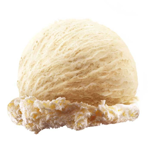 HELADO DE VAINILLA 10 LTS BAMINO NESTLE