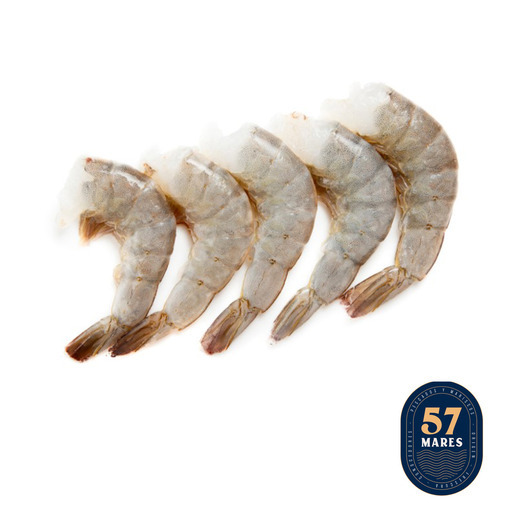 CAMARON CRUDO PYD 21-25 57 MARES