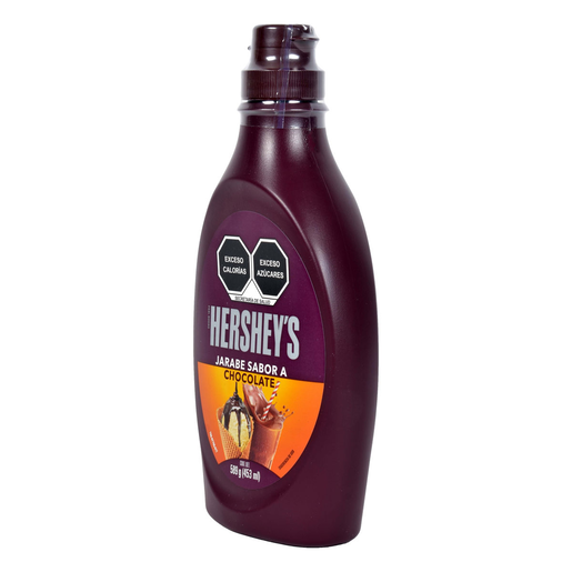 SYRUP CHOCOLATE 24/589 G