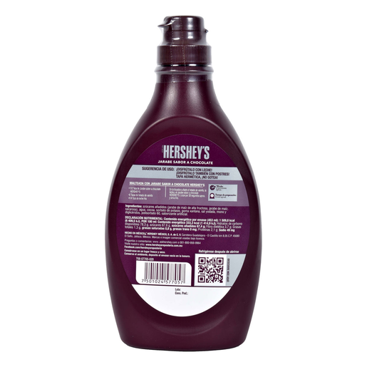 SYRUP CHOCOLATE 24/589 G