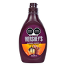 SYRUP CHOCOLATE 24/589 G